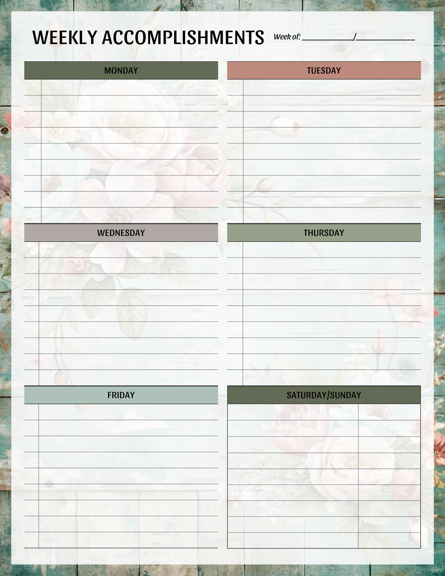 Weekly Accomplishments