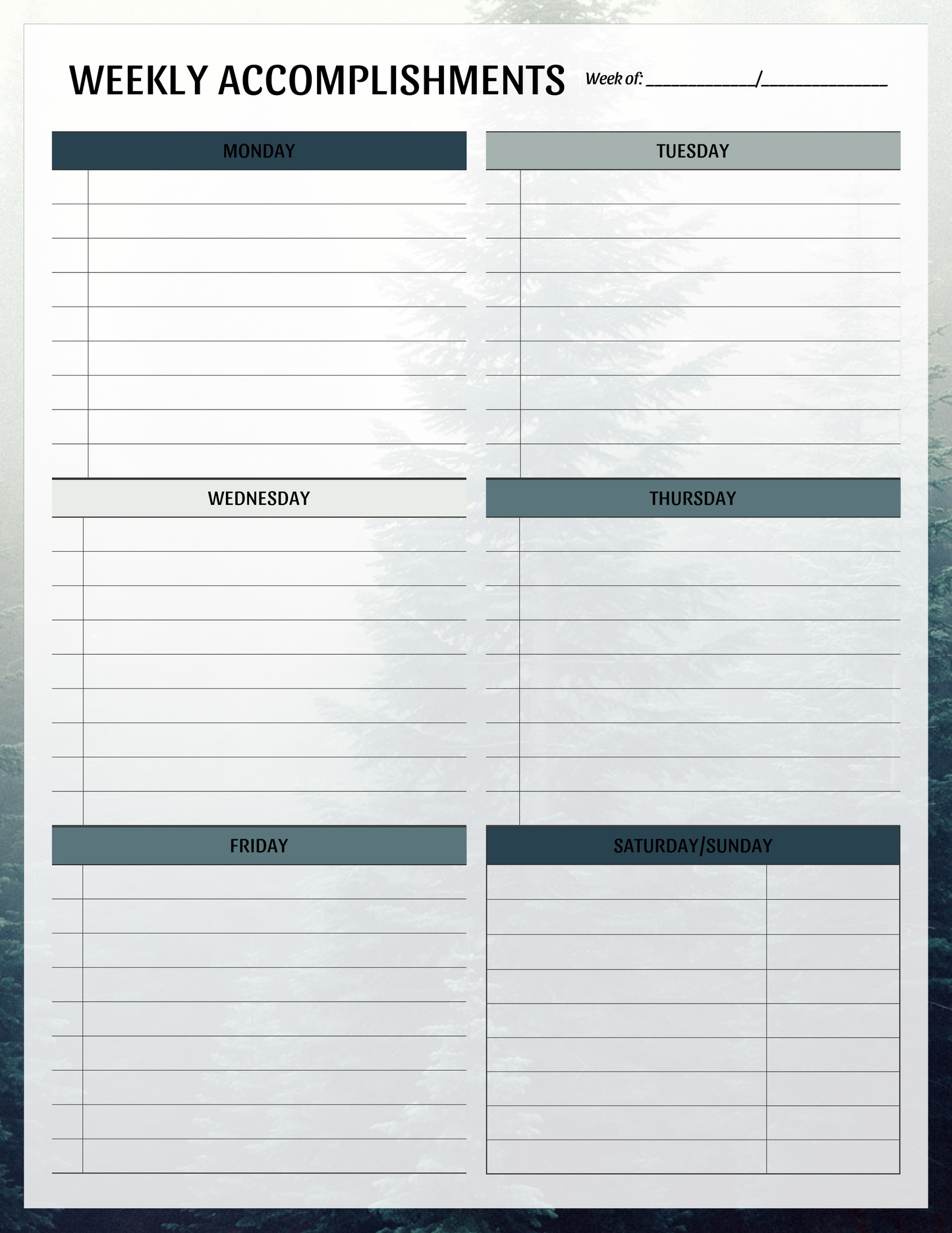 Weekly Accomplishments